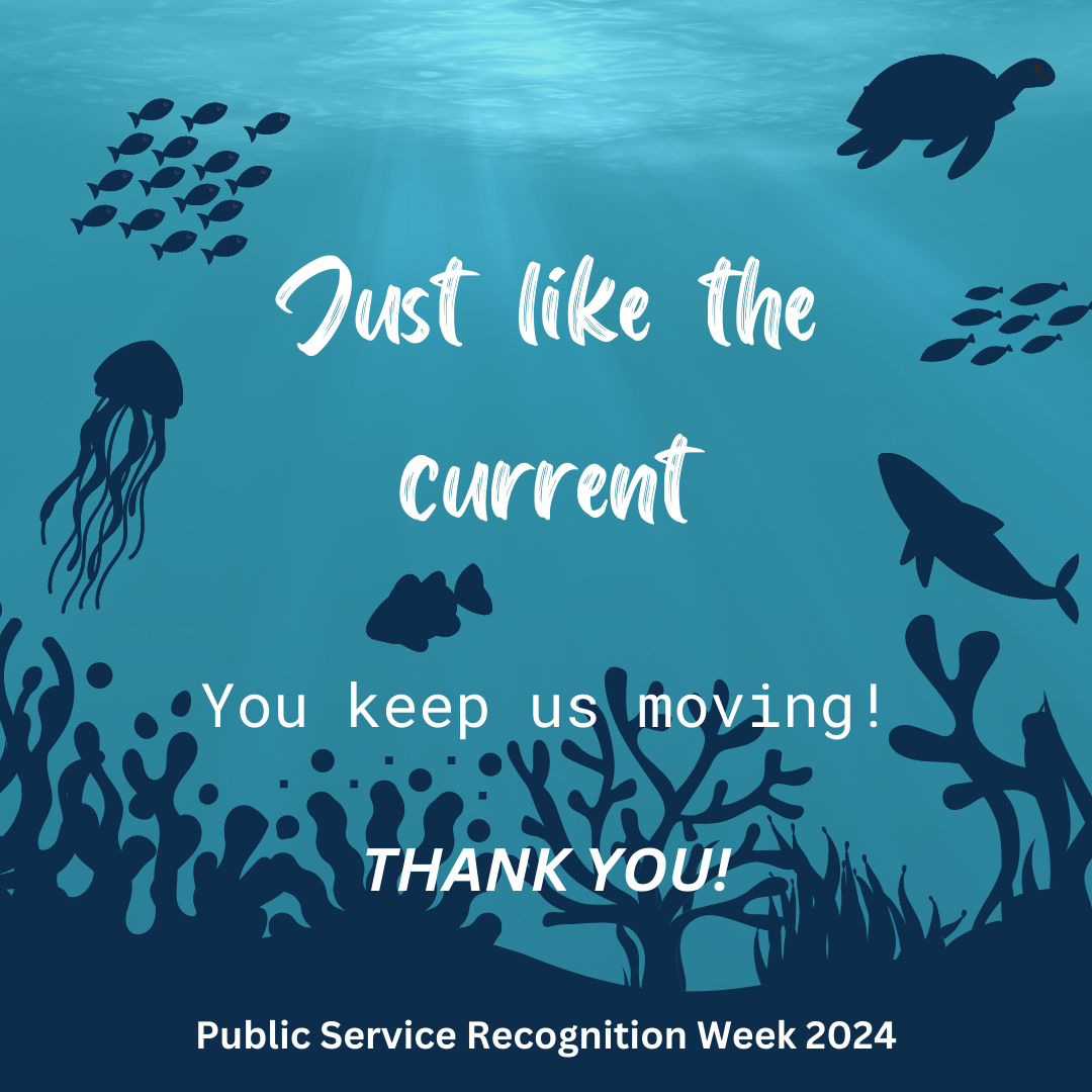 -Under the sea with some ocean plants at the bottom and ocean animals swimming like a turtle, fish, a shark, and jelly fish. Text says, "Just like the current, you keep us moving. Thank you! Public Service Recognition Week 2024."