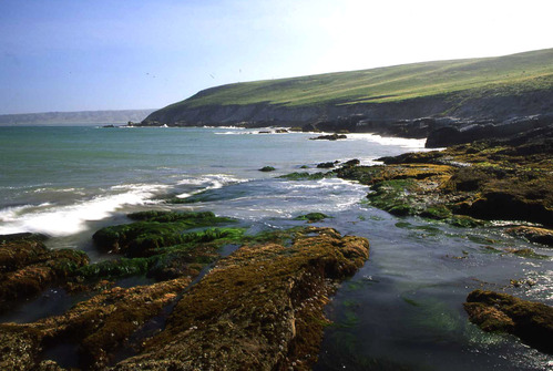 Carrington Point 407