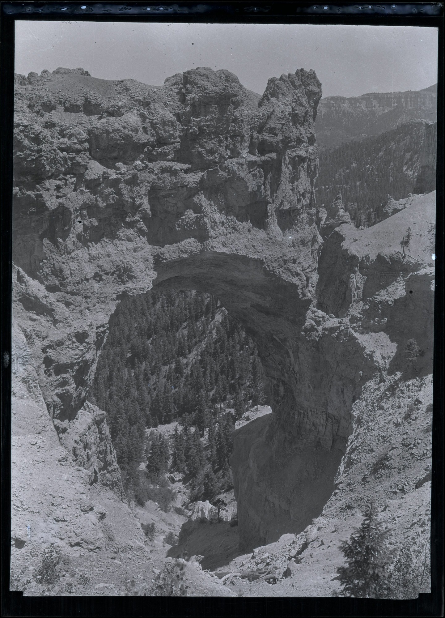 BRCA Museum and Archives Image