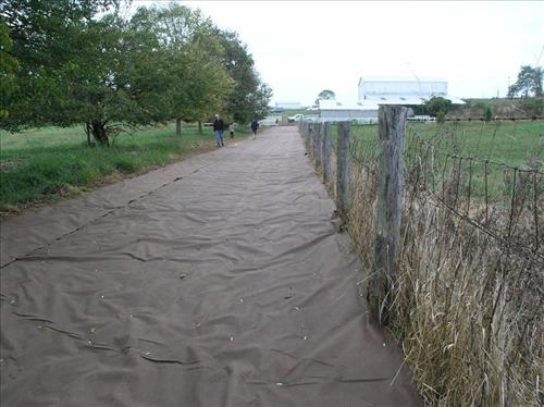 Public Lands Day project at the Miller Farm on Antietam National Battlefield; improving the riparian buffer.