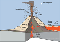 Illustration of a cinder cone erupting. One-quarter of the mountain is cut away to show the magma conduit and rock layering. Labeled surface features include Volcanic bombs, Tephra, Vent, Spatter, Rafted cinder cone, and a lava flow.