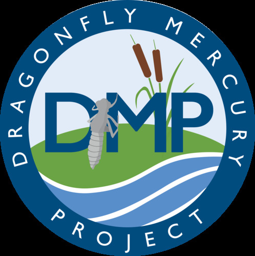 Dragonfly Mercury Project logo. 