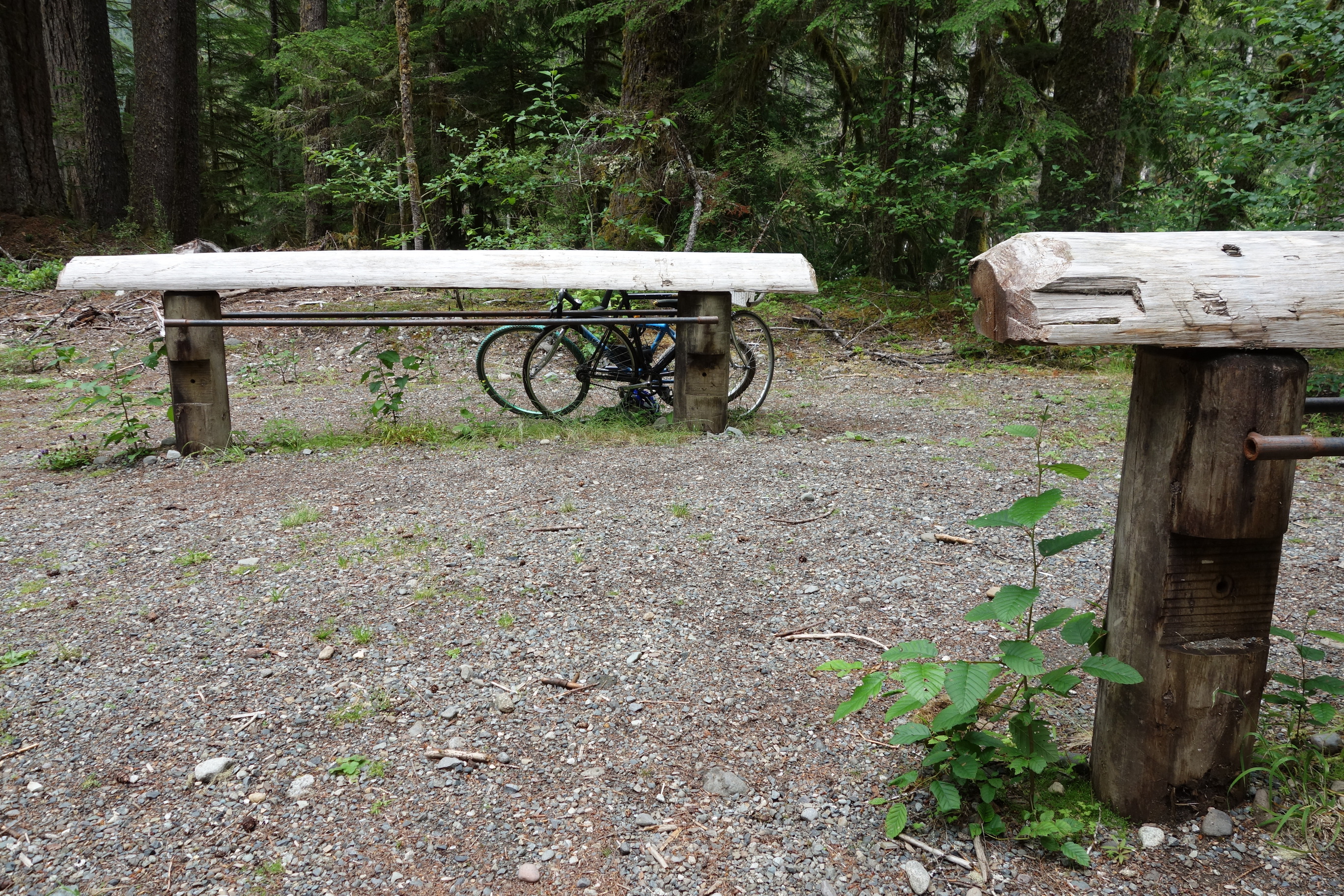Several bikes are locked to a bike rack built out of several logs in a with metal rail attached to the logs. 