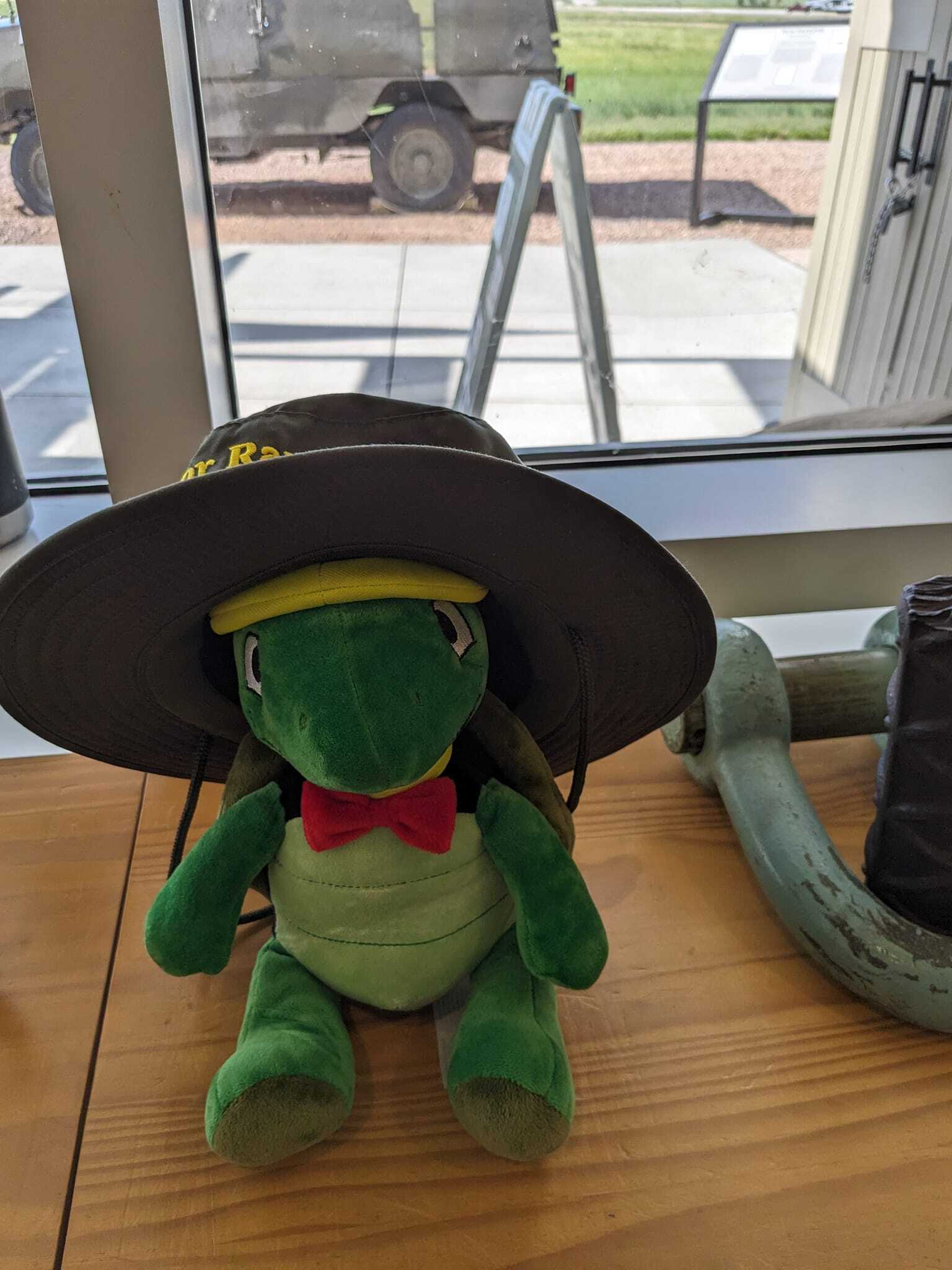 Plush turtle wearing a dark green junior ranger bucket hat
