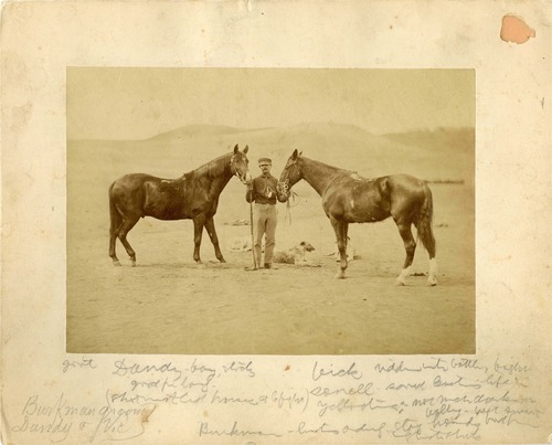 John Burkman with Dandy and Vic [G.A. Custer's Horses] and Four Hounds