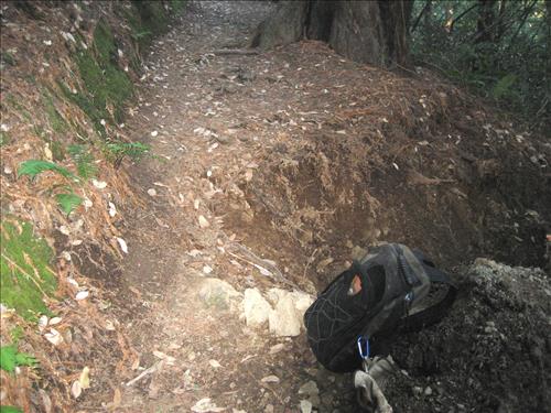 Rec Fee Project: Rehabilitate Notch, Muir Beach Overlook, & Hillside Trails