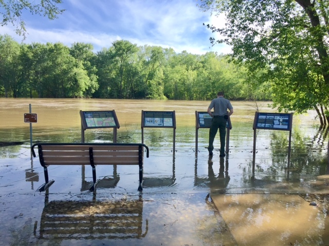 A person standing in front of waysides next to a flooded area.