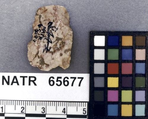 NATR   65677 -- Untyped projectile point