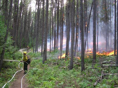Fish Creek burnout operation on Robert Fire, Glacier National Park