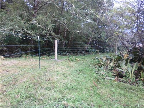 Orick Valley Elk Fence Condition