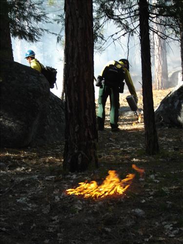 Roads End Prescribed Fire, Sequoia and Kings Canyon National Parks, May 2005