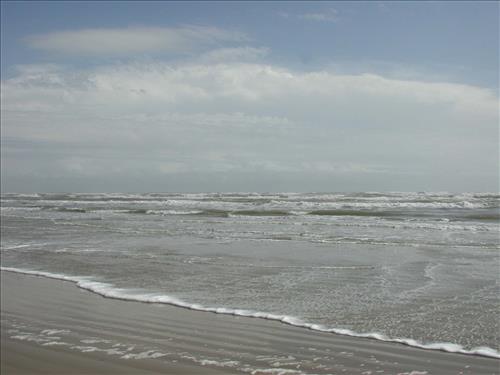 Scenery of Padre Island National Seashore