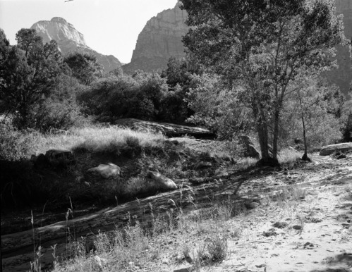 Habitat record in Oak Creek.