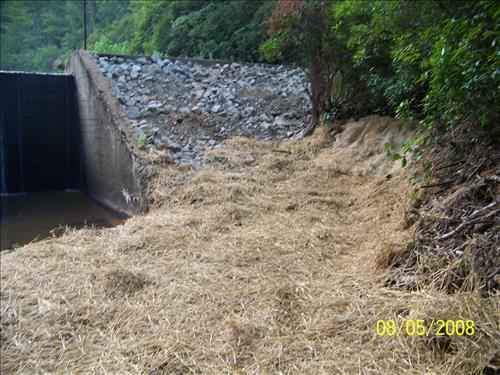 Emergency repairs to Camp 1 & 4 Dams at Prince William Forest Park in August 2008