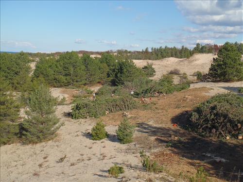 Dune and Prairie Warbler Habitat Restoration at Sleeping Bear Dunes NL from September 2010-October 2011