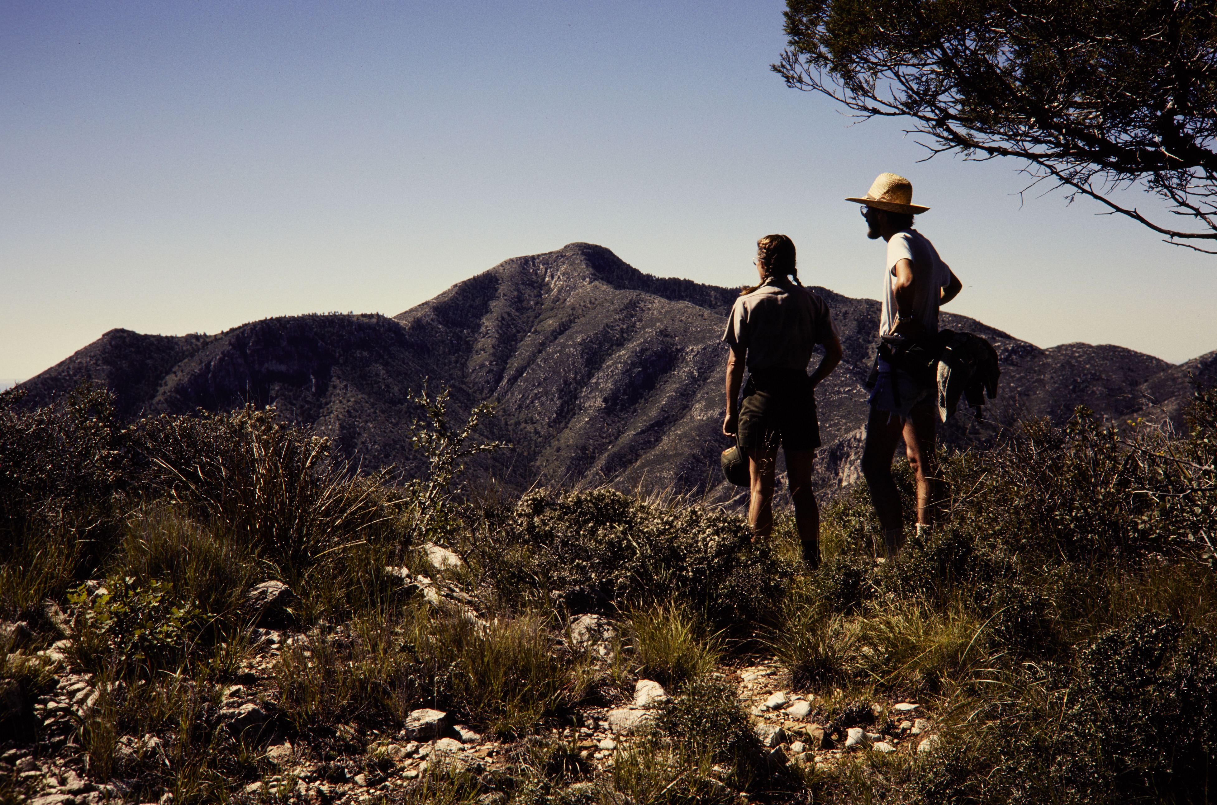 HFCA 1607_People Volume 2_358.jpg. NPS seasonal employee Nevada Barr standing on a hill with a man looking toward the mountains in Guadalupe Mountains National Park. Exact date of image is unknown but is likely c. 1990 (late 1980s-1994).