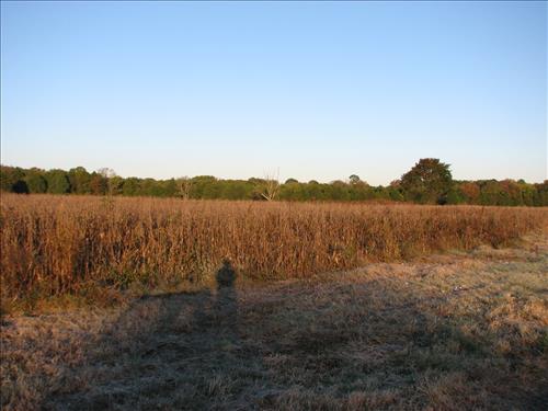Agricultural Field Conversion at Stones River National Battlefield: Current and Desired Future Conditions in November 2007