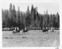 Ranger Led Horseback Ride. Administrative Collections: Album 1- Ranger Led Horseback Rides near Drakesbad