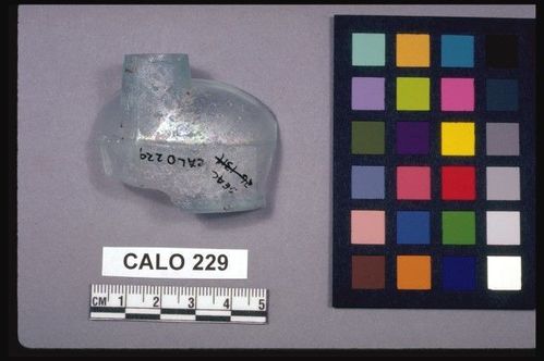 CALO     229 -- Bottle