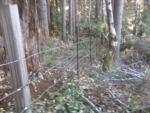 Roach Creek Boundary Fence June 2011