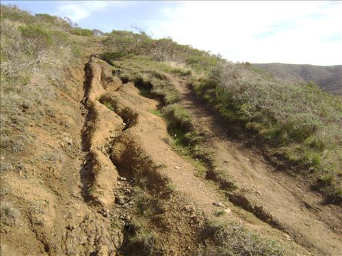 Rec Fee Project: Dias Ridge Trail
