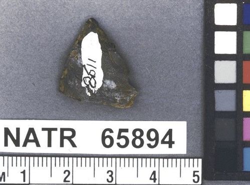 NATR   65894 -- Untyped projectile point