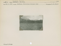 hfca_1607_iva_013_10_009_2506_a. Antelope [American Pronghorn] - In field.. Locality: Gardiner, Yellowstone National Park. Negative #: 2506