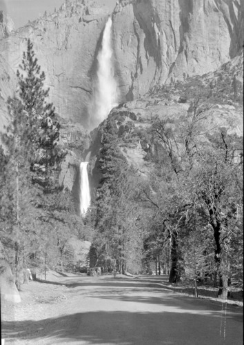 After clearing of limbs near Yosemite Falls.