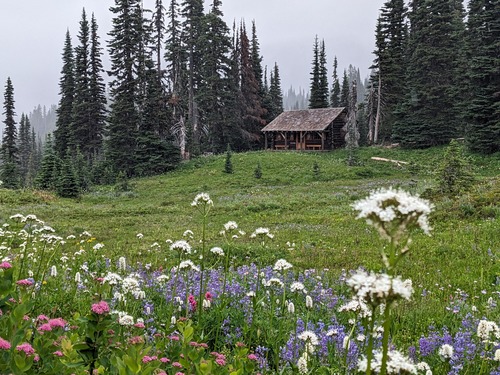 A meadow filled with blooming pink, white, and blue flowers frames a small log cabin tucked up against a stand of subalpine fir trees. 