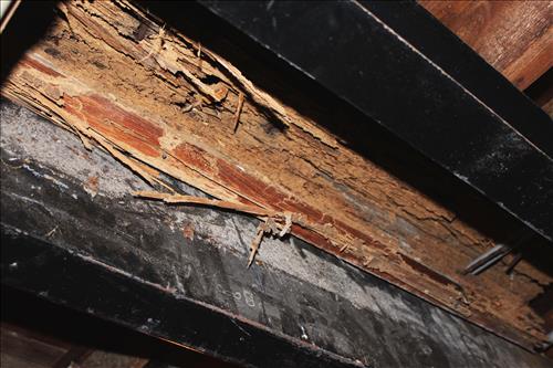 Plum Orchard Kitchen Floor Damage in September 2010