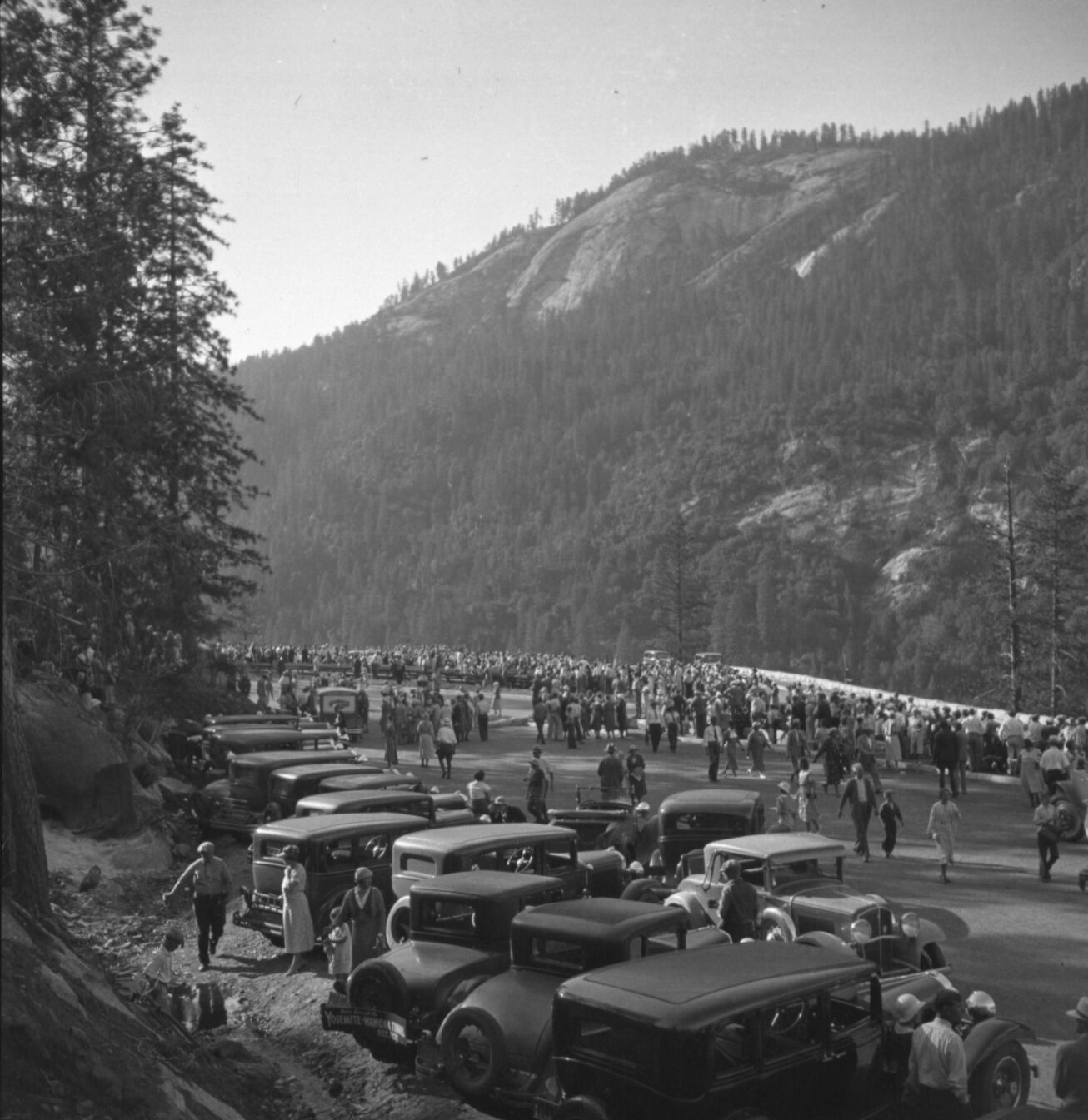 Copied from Shirley Sargent's collection.