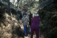 Visitors in Torrey Pine Grove