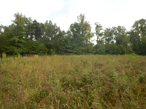 GRSM Accuracy Assessment. Plot Code: GRSM_AA_0633_2