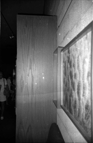 Artwork displays in the old Mission 66 Visitor Center and Museum.