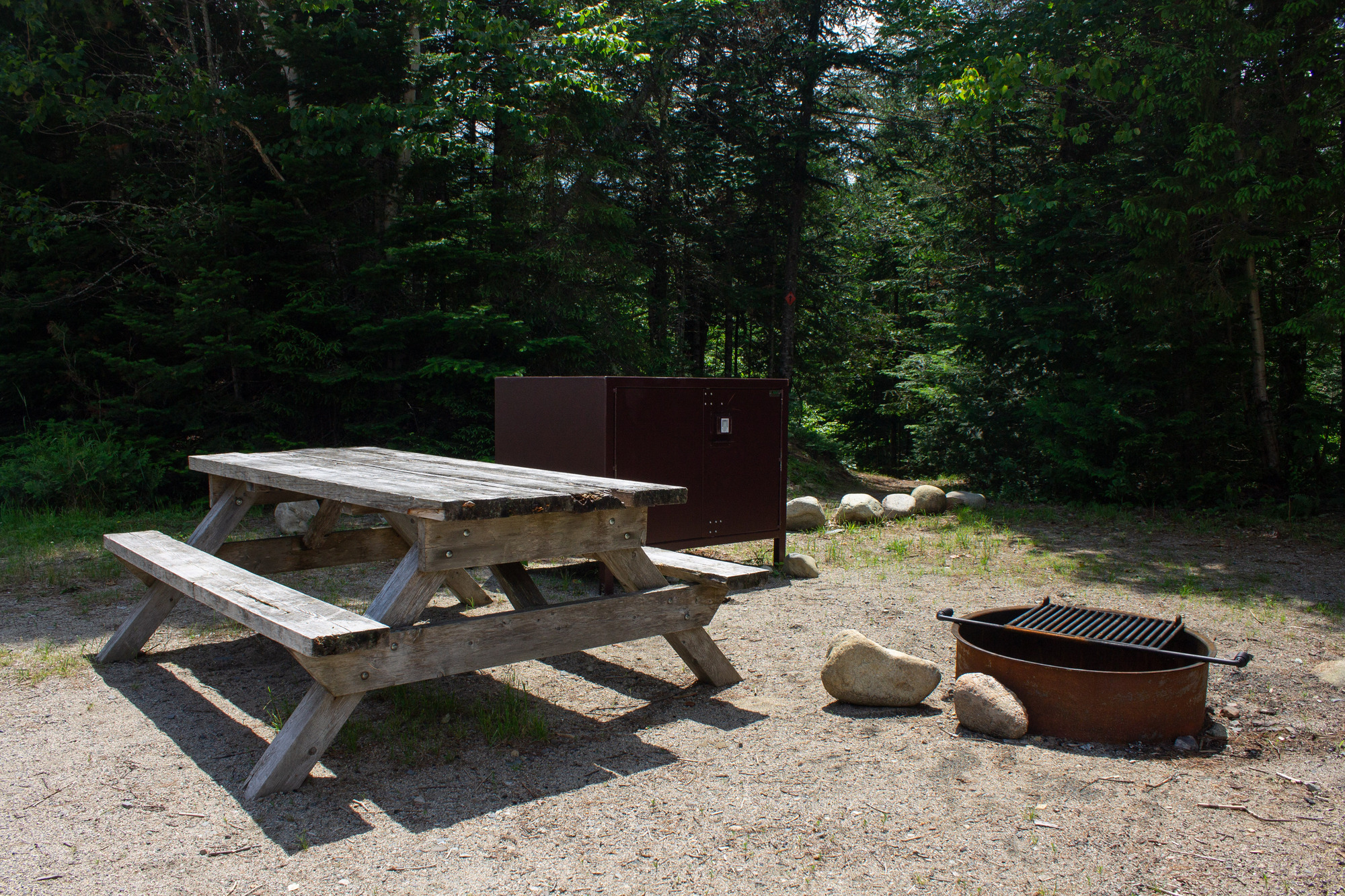 A picnic table, fire pit, and bear box in site 2 at Sandbank campsites.