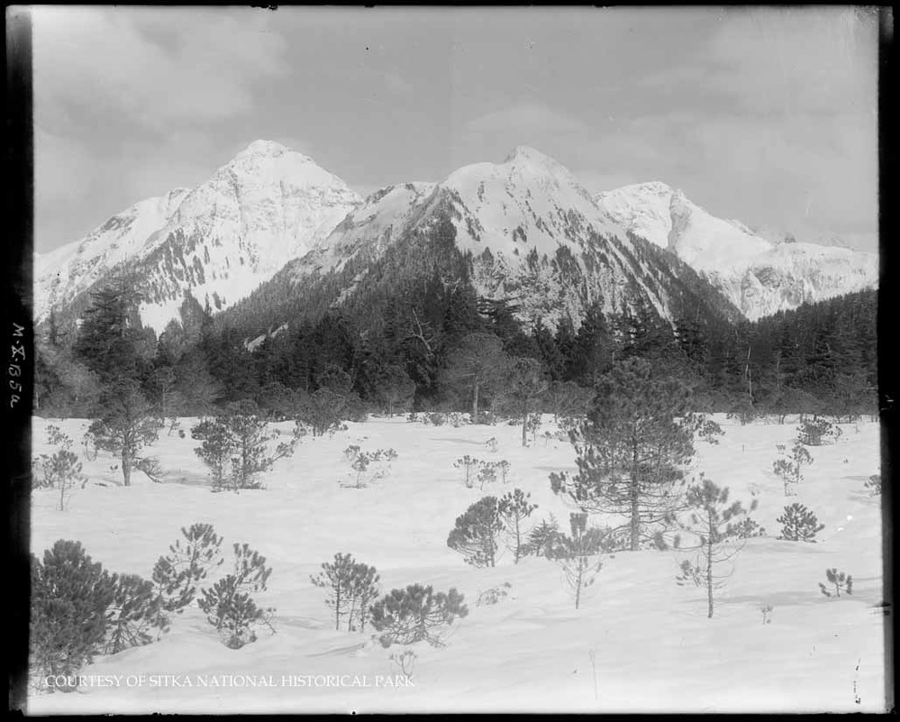 Snow-covered muskeg in Indian River Valley looking towards the Sisters.