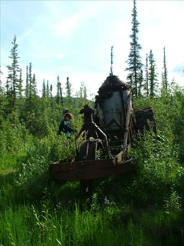 7 Yukon-Charley Rivers National Preserve, Peregrine Falcon Survey July 2006