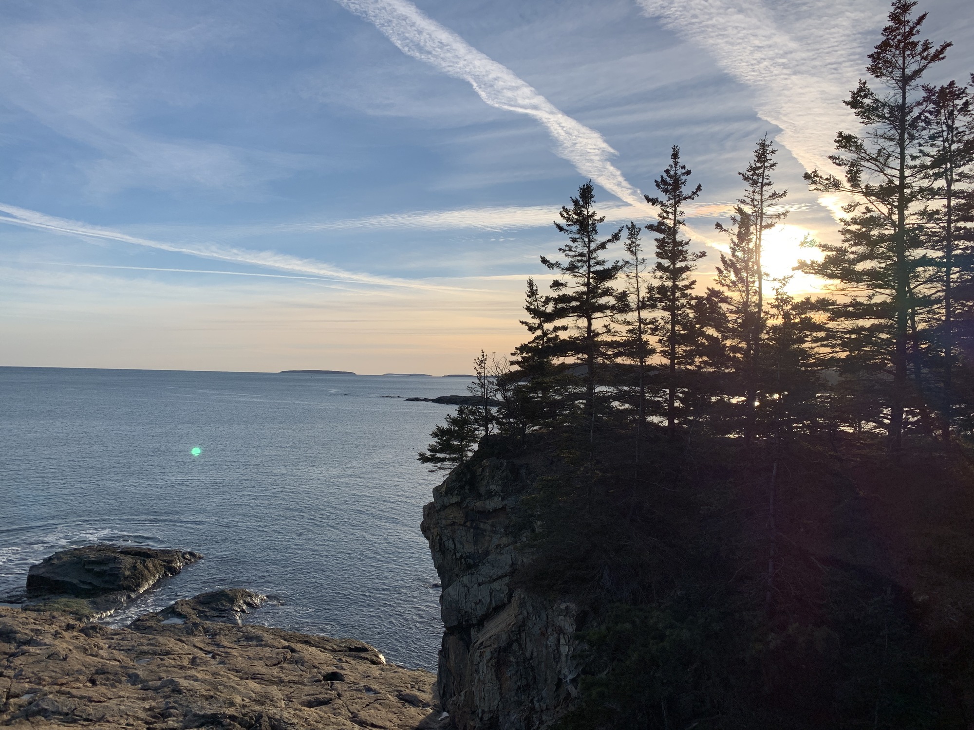 The sun is low in a blue sky silhouetting spruce trees in front of an ocean view and rocky cliff. 