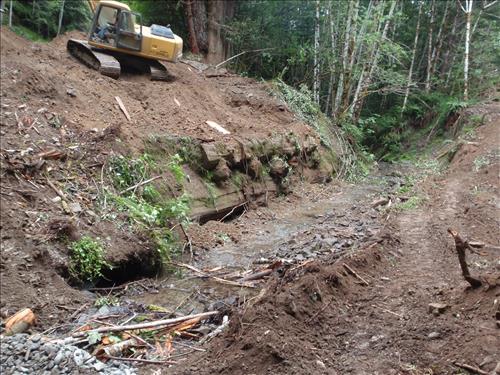 Repair Storm Damage at Mill Creek Area, July 2011, Mill Creek Watersehd, Redwood National and State Parks, in