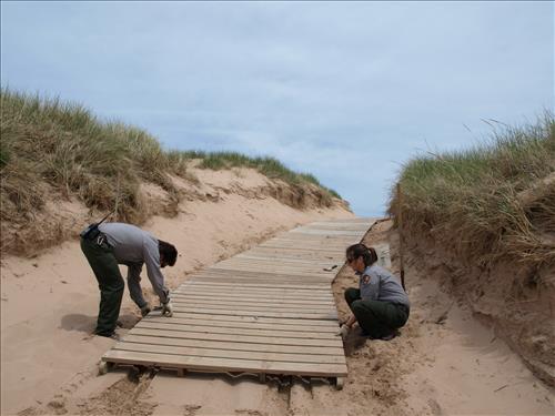 SLBE Pierce Stocking Scenic Drive - #9 Lake Michigan Overlook Spring Preparation
