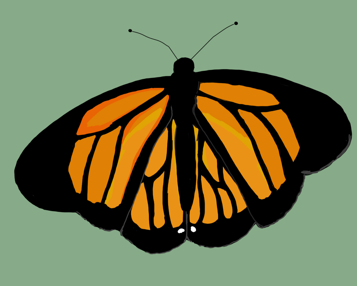 digital artwork of a black and orange butterfly