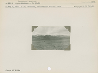 hfca_1607_iva_013_10_009_2505_a. Antelope [American Pronghorn] -- In field.. Locality: Gardiner, Yellowstone National Park. Negative #: 2505
