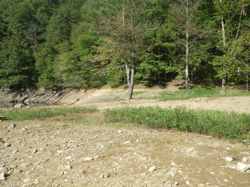 GRSM Accuracy Assessment. Plot Code: GRSM_AA_0140_5