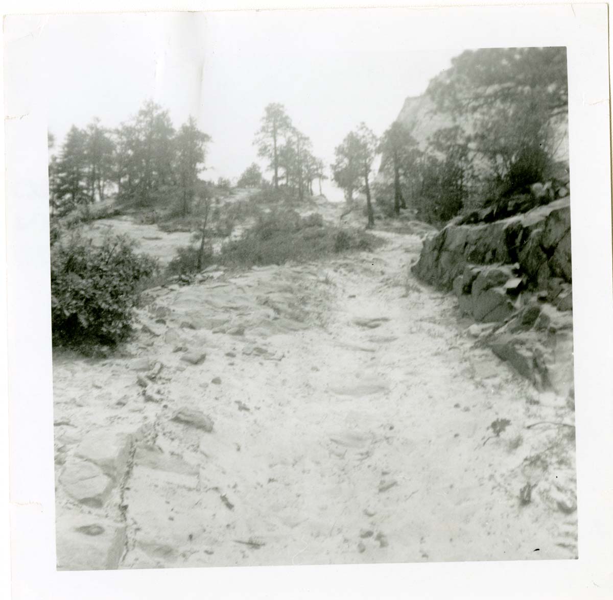 General view of the East Rim trail.