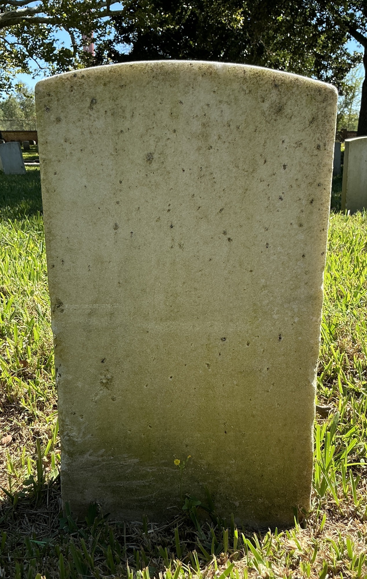 Back of historic upright marble headstone with recessed shield face.