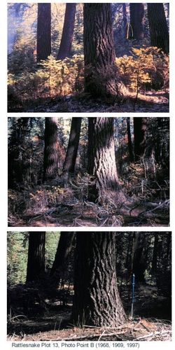 Fire plots revisited after 30 years in Kings Canyon backcountry, Sequoia and Kings Canyon National Parks, 1968-1997
