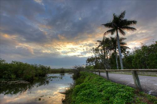 Scenic drive, Everglades National Park, 2015.