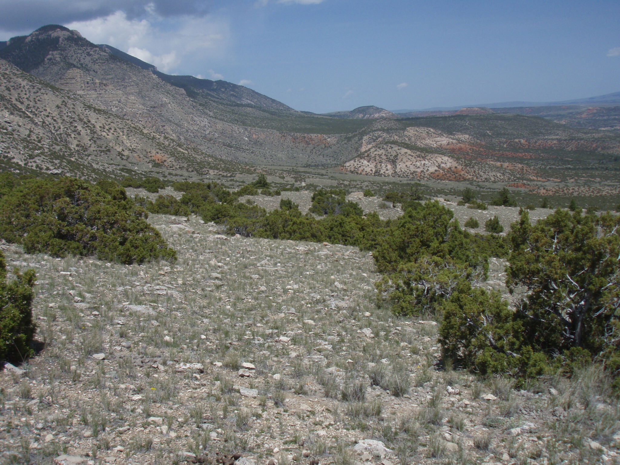 Image of the vegetation and landscape at photo point in Bighorn Canyon NRA 