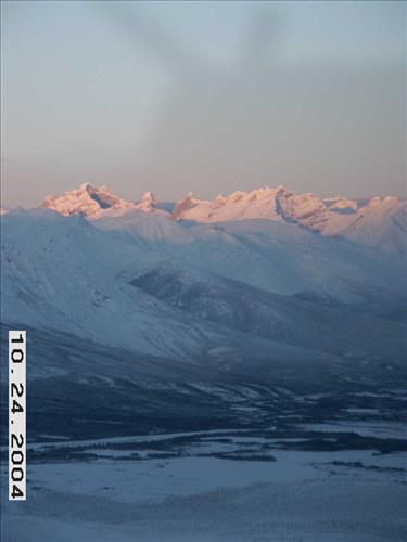 7 Gates of the Arctic National Park and Preserve Koyukuk Moose Survey 2004