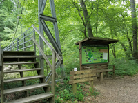 A wooden bridge in a wooded area.